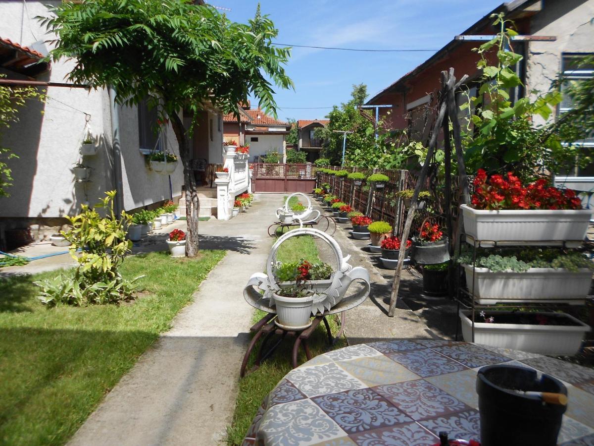 Apartman "Dom Stankovica" Pirot Dış mekan fotoğraf