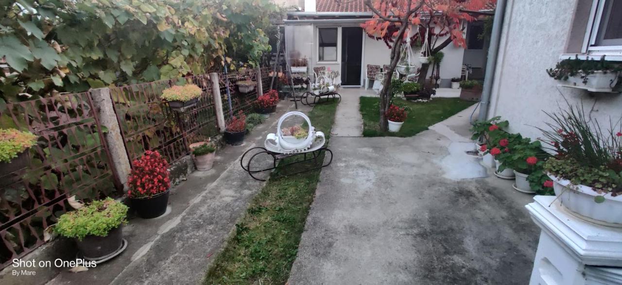 Apartman "Dom Stankovica" Pirot Dış mekan fotoğraf