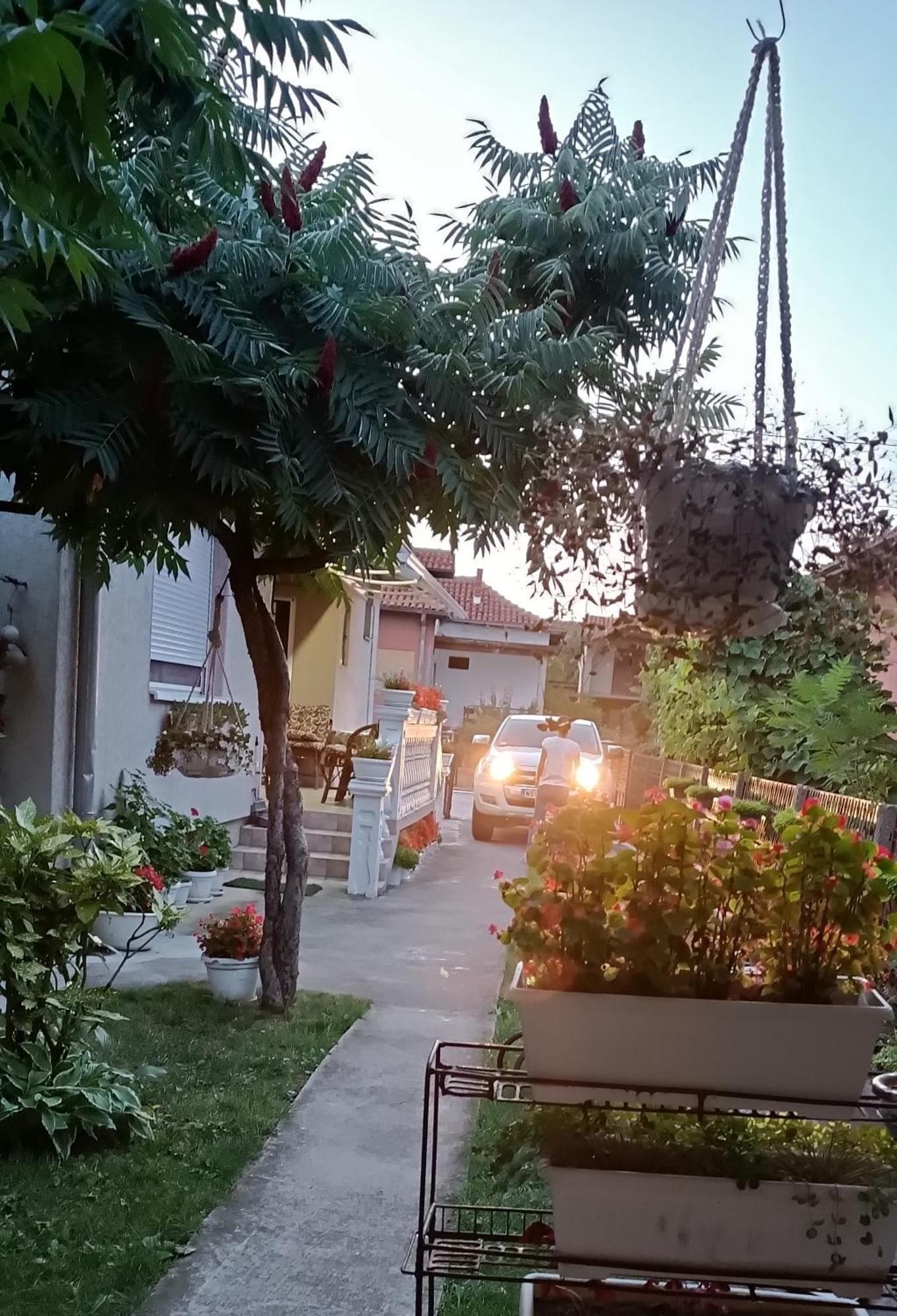 Apartman "Dom Stankovica" Pirot Dış mekan fotoğraf